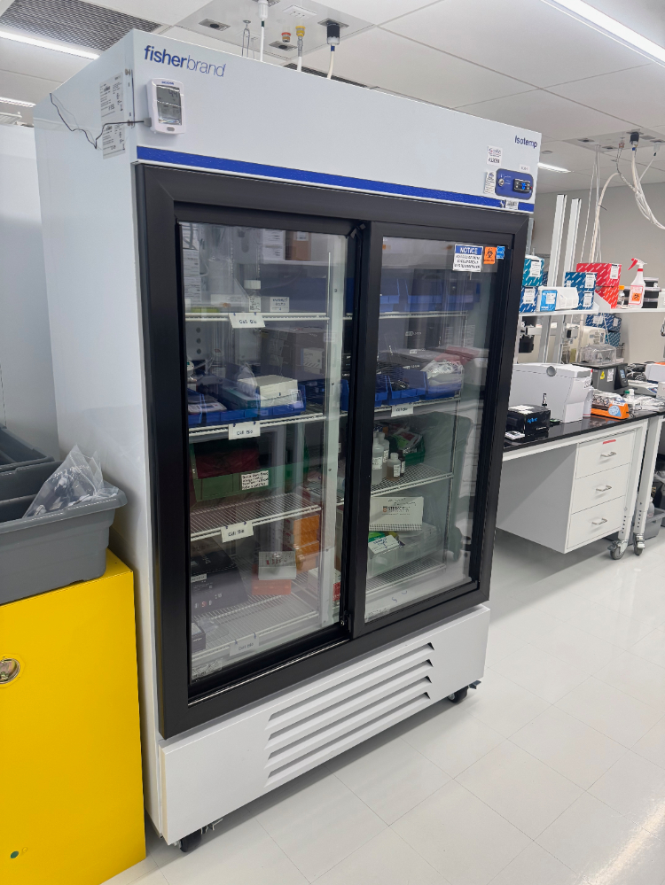 Image of Fisherbrand Isotemp Double Door Refrigerator